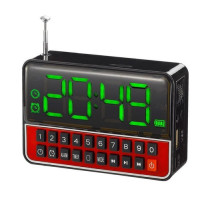 Колонка WSTER WS-1513Clock