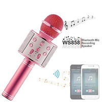 Мікрофон WS-858 WSTER PINK