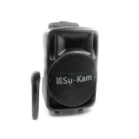 Колонка Su-Kam BT 100D (1 мікрофон, 12В/220В)